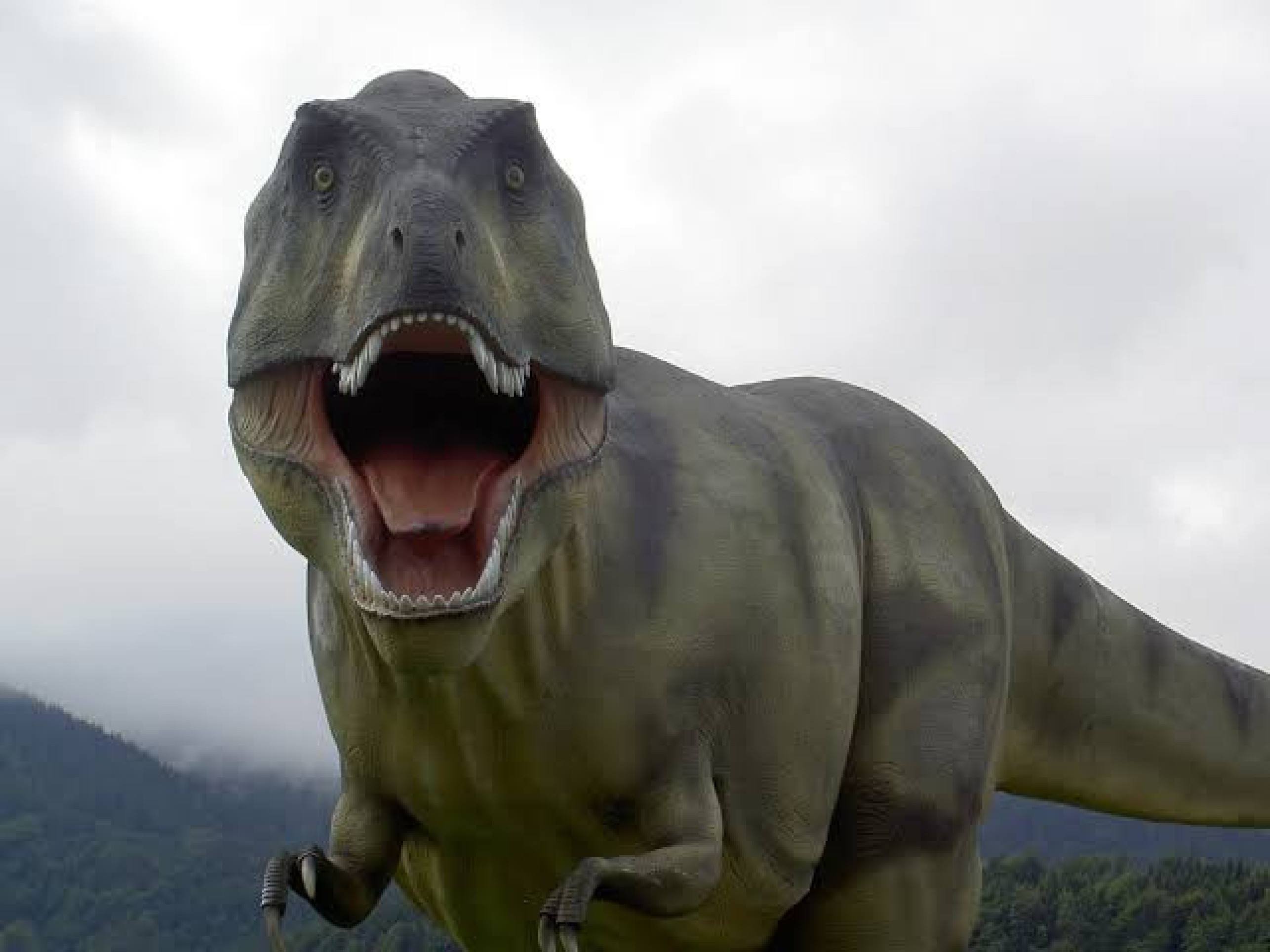 Estudo investiga temperatura do sangue do dinossauro T.rex