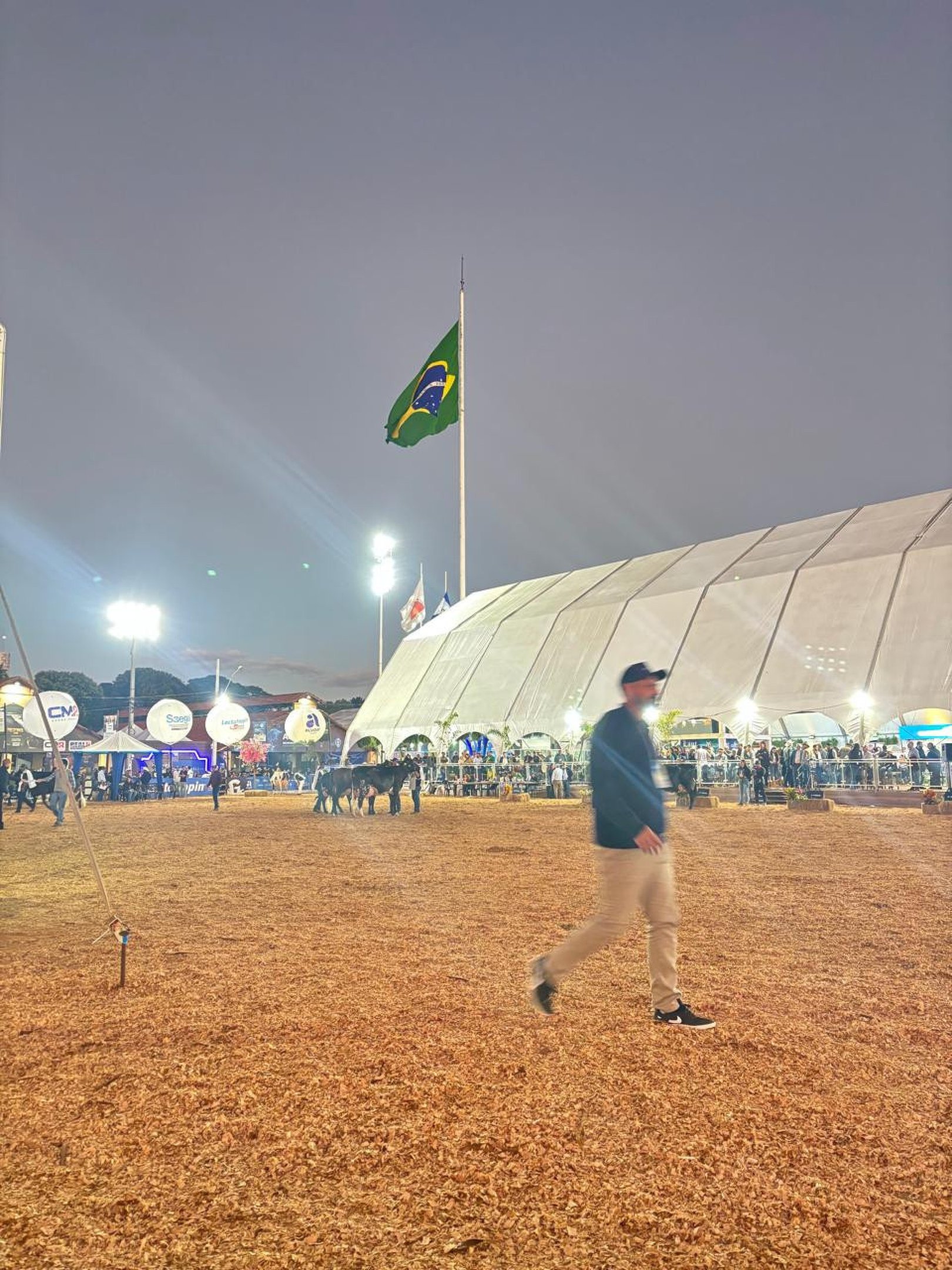 Mangalarga Marchador Music Festival reúne música, cavalos e gastronomia em BH