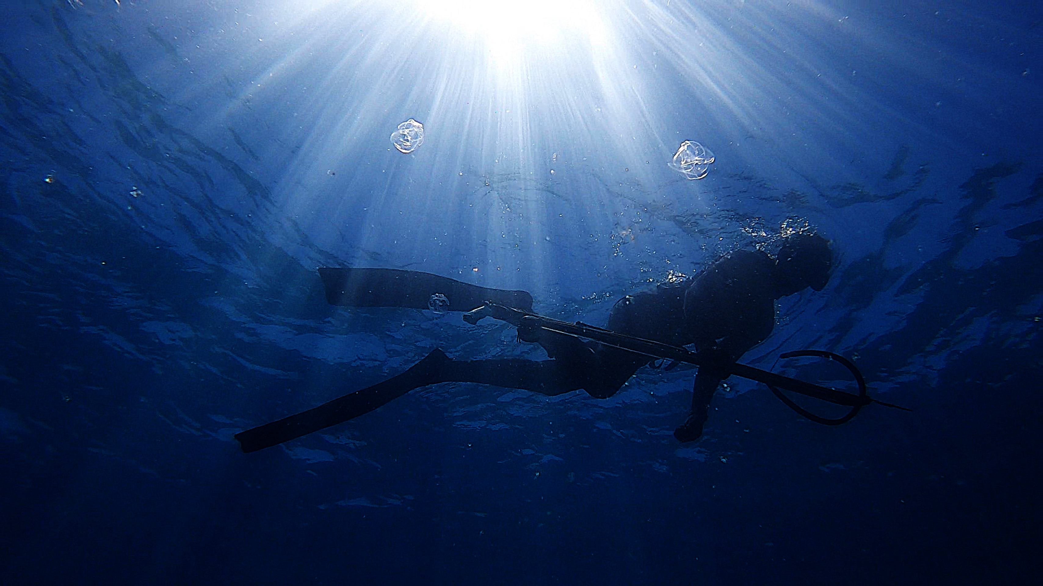 Sistema Coral - Linhas de Vida em Assembleia (2021), filme de Tina Co&ecirc;lho