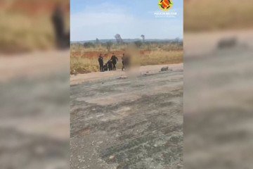 PMDF captura foragido ap&oacute;s persegui&ccedil;&atilde;o em &aacute;rea de mata na BR-080 -  (crédito: Divulga&ccedil;&atilde;o/PMDF)