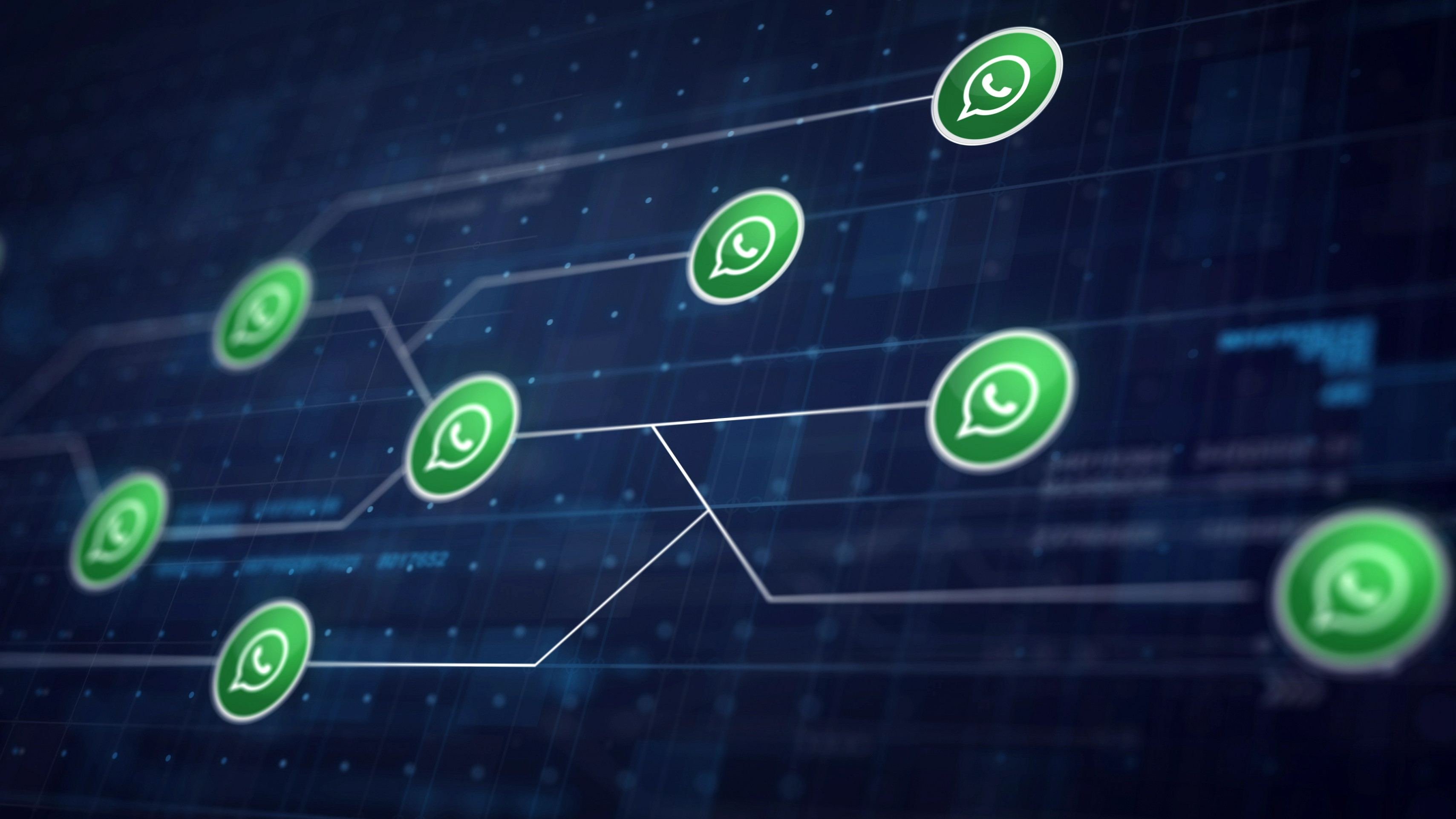 PF não quebrou WhatsApp: entenda como mensagens de Vorcaro foram refeitas