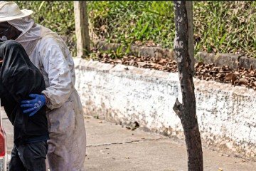 Bombeiros com vestimentas de proteção contra ferroadas salvam homem de ataque de um enxame de abelhas em Andradas - (crédito: CBMMG) Bombeiros com vestimentas de proteção contra ferroadas salvam homem de ataque de um enxame de abelhas em Andradas - (crédito: CBMMG)