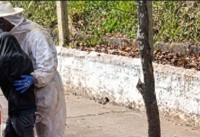 Bombeiros com vestimentas de prote&ccedil;&atilde;o contra ferroadas salvam homem de ataque de um enxame de abelhas em Andradas -  (crédito: CBMMG)