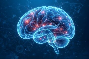 Uso do silêncio neuronal como biomarcador para intervenções anticonvulsivas promoveu redução de até 93% na duração das crises - (crédito: Shutterstock) Uso do silêncio neuronal como biomarcador para intervenções anticonvulsivas promoveu redução de até 93% na duração das crises - (crédito: Shutterstock)