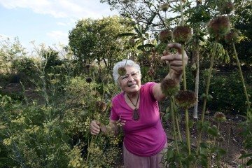 A raizeira Josefa Ataídes reflorestou a chácara onde vive, em São Sebastião - (crédito: Minervino Júnior/CB/D.A.Press) A raizeira Josefa Ataídes reflorestou a chácara onde vive, em São Sebastião - (crédito: Minervino Júnior/CB/D.A.Press)
