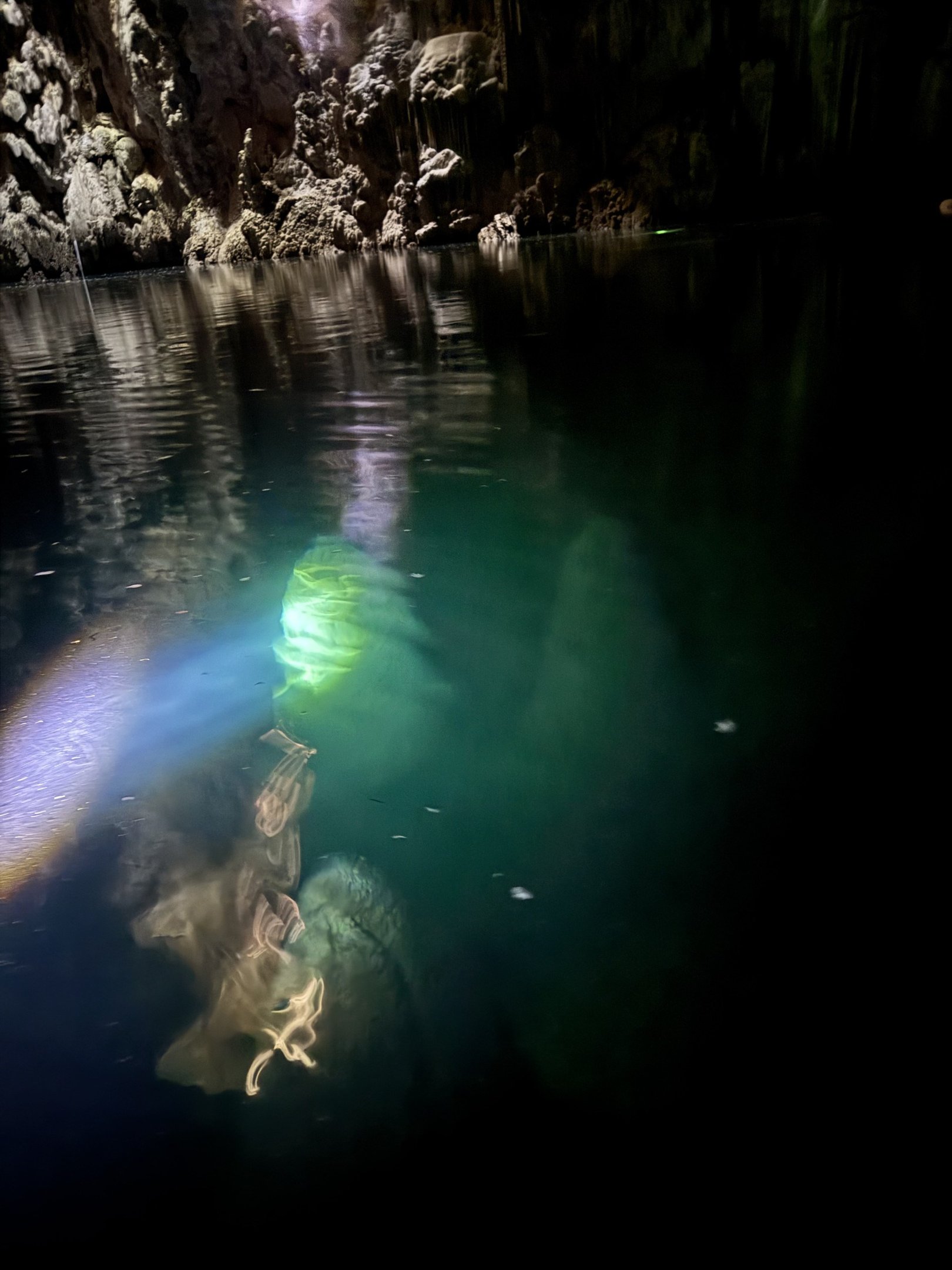 Abismo Anhumas, no Mato Grosso do Sul: explora&ccedil;&atilde;o de caverna preservada