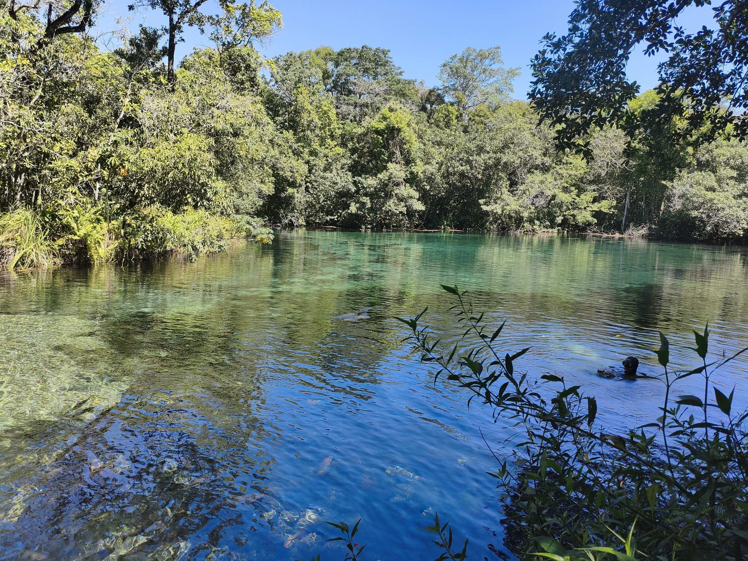 &Aacute;guas cristalinas do Recanto Ecol&oacute;gico Rio da Prata, no Mato Grosso do Sul: natureza preservada