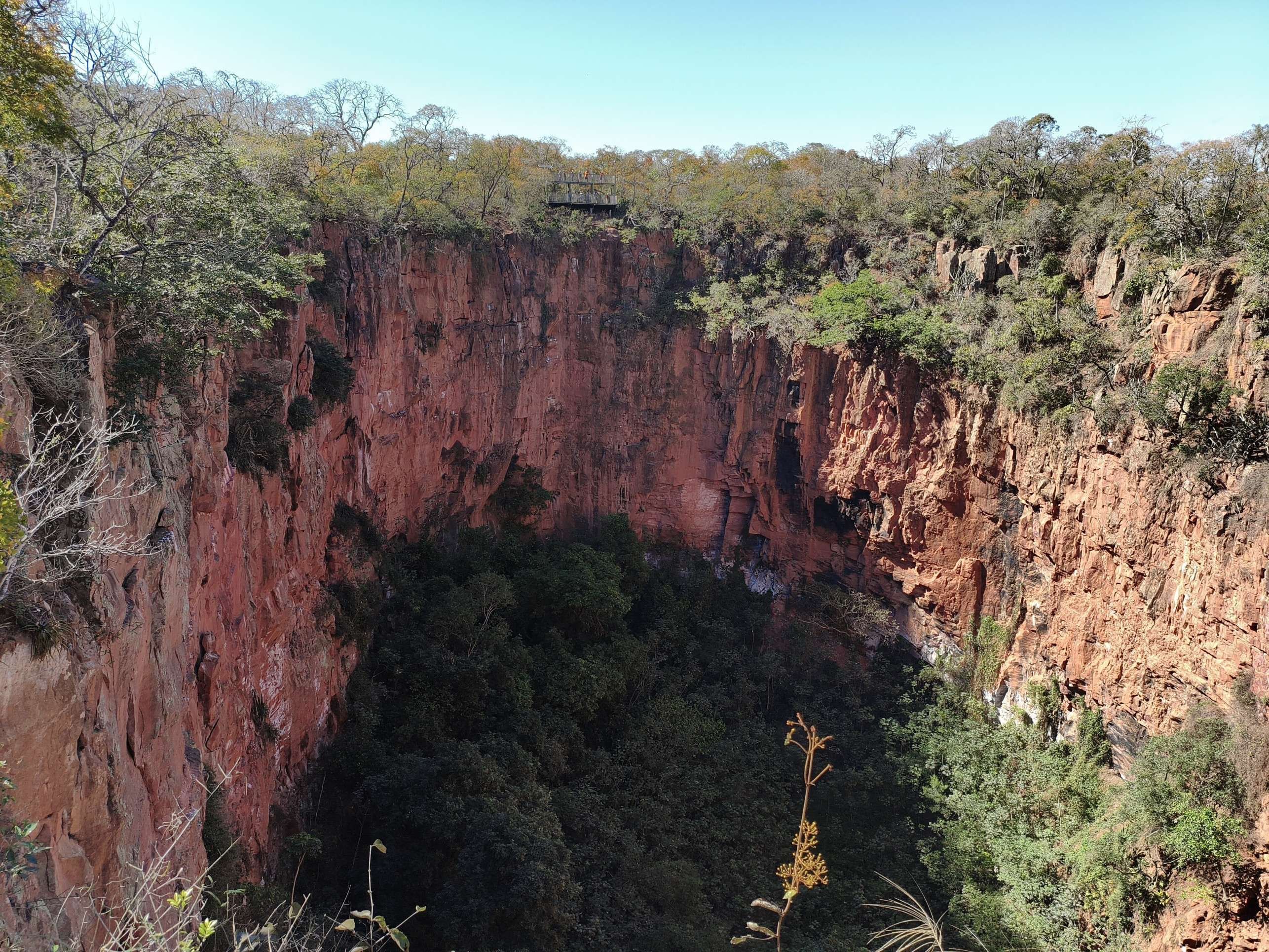 Buraco das Araras, no Mato Grosso do Sul: conserva&ccedil;&atilde;o para manter 120 araras preservadas     
