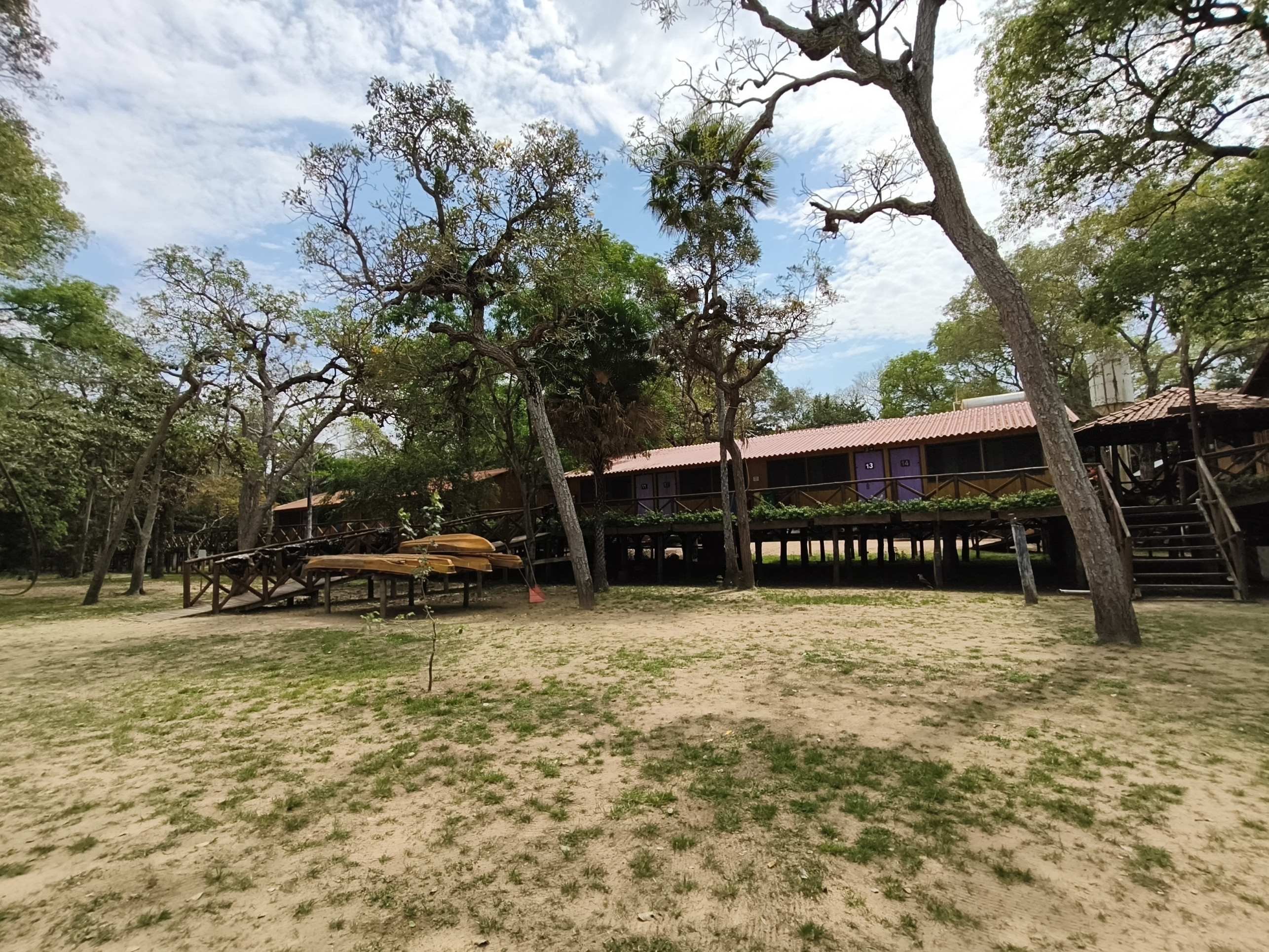 Pantanal Jungle Lodge, no Mato Grosso do Sul: estadia no cora&ccedil;&atilde;o do Pantanal