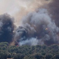 Incêndio florestal na região da Catalunha, Espanha, 2026   -  (crédito: Rawpixel/Divulgação )
