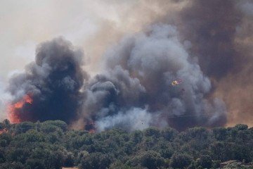 Incêndio florestal na região da Catalunha, Espanha, 2026 - (crédito: Rawpixel/Divulgação ) Incêndio florestal na região da Catalunha, Espanha, 2026 - (crédito: Rawpixel/Divulgação )