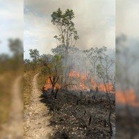 Os respons&aacute;veis pelo Parque informaram que, at&eacute; o momento, a &aacute;rea atingida &eacute; de aproximadamente 338 hectares -  (crédito: Diuvlga&ccedil;&atilde;o/Acervo do Parque Nacional da Chapada dos Veadeiros)