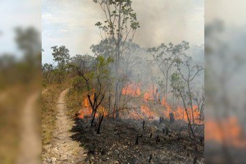 Os respons&aacute;veis pelo Parque informaram que, at&eacute; o momento, a &aacute;rea atingida &eacute; de aproximadamente 338 hectares -  (crédito: Diuvlgação/Acervo do Parque Nacional da Chapada dos Veadeiros)