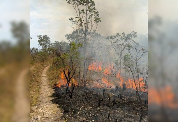 Diuvlgação/Acervo do Parque Nacional da Chapada dos Veadeiros
