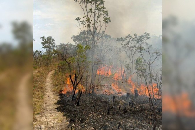 Os responsáveis pelo Parque informaram que, até o momento, a área atingida é de aproximadamente 338 hectares - (crédito: Diuvlgação/Acervo do Parque Nacional da Chapada dos Veadeiros) Os responsáveis pelo Parque informaram que, até o momento, a área atingida é de aproximadamente 338 hectares - (crédito: Diuvlgação/Acervo do Parque Nacional da Chapada dos Veadeiros)