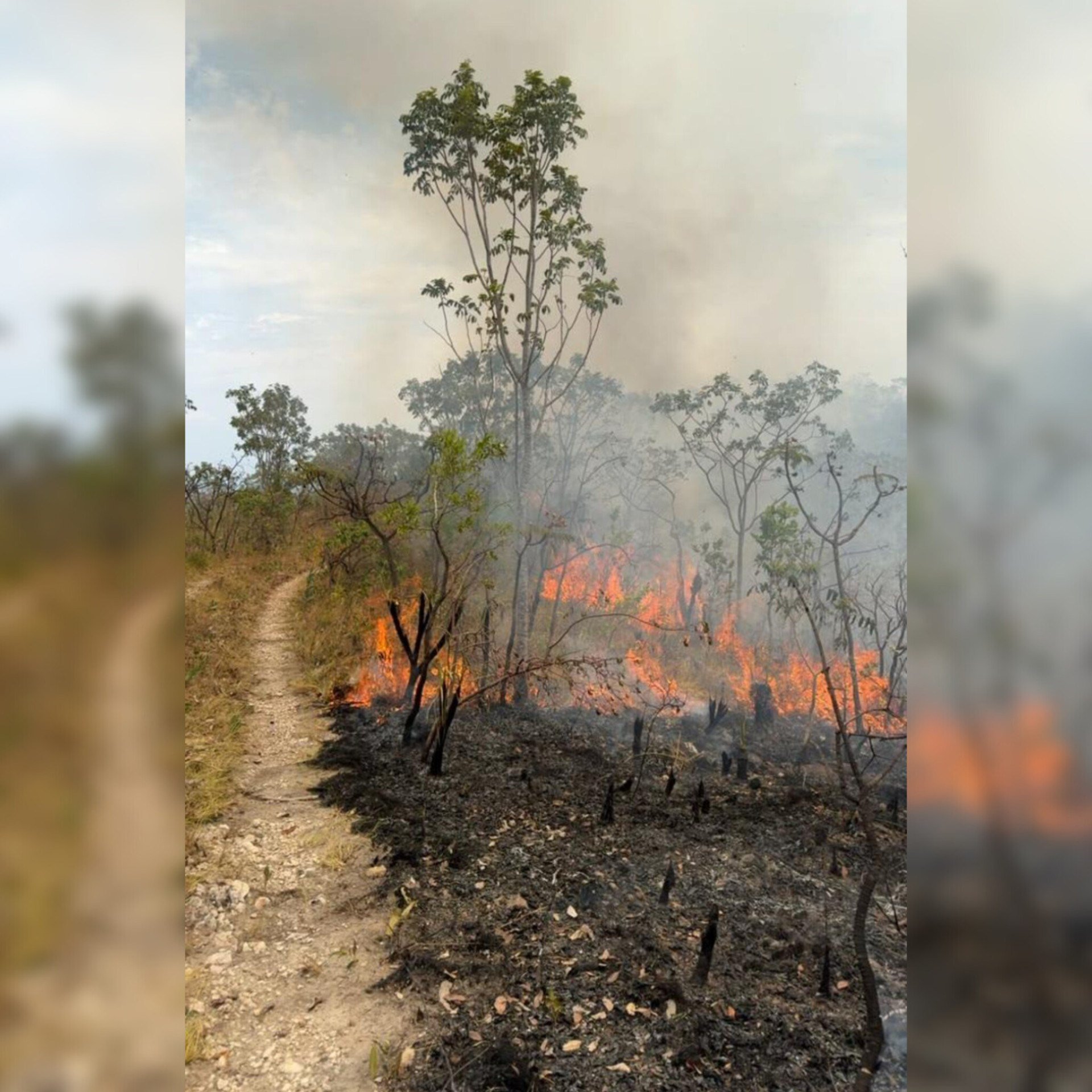 Incêndio atinge área de 338 hectares na Chapada dos Veadeiros (GO)