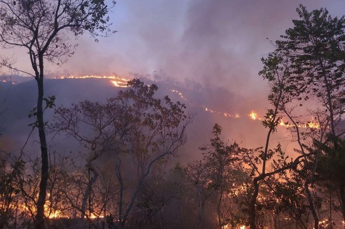 A região do Macacão é uma das áreas que sofreram com os incêndios - (crédito: Josemir Pereira dos Santos/Ibama) A região do Macacão é uma das áreas que sofreram com os incêndios - (crédito: Josemir Pereira dos Santos/Ibama)