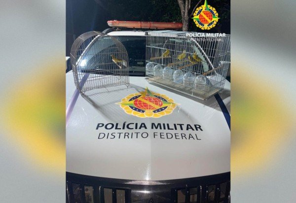 Divulgação/PMDF