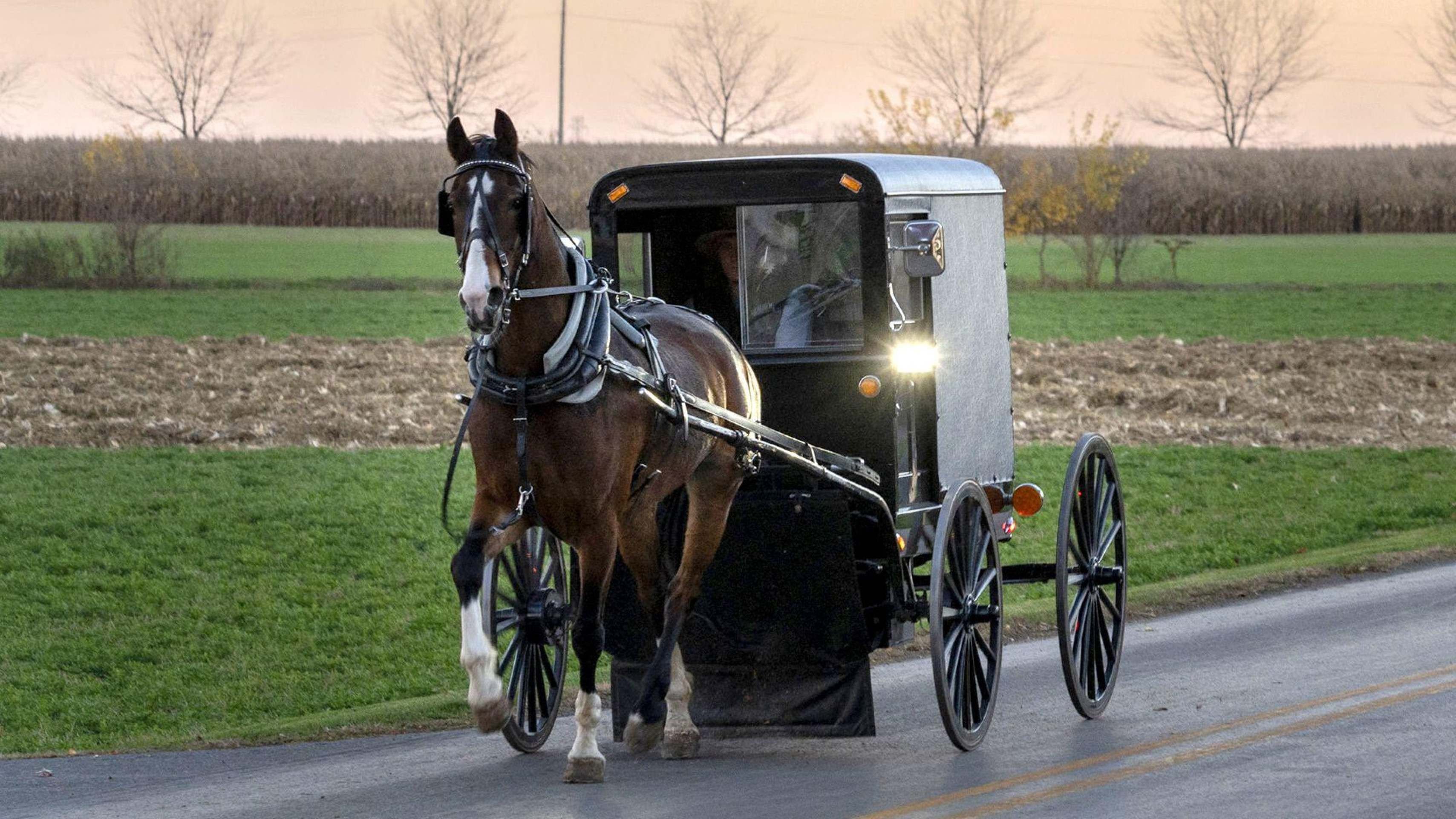 Como a hermética comunidade amish combate o surto de sarampo mais mortal da história recente dos EUA