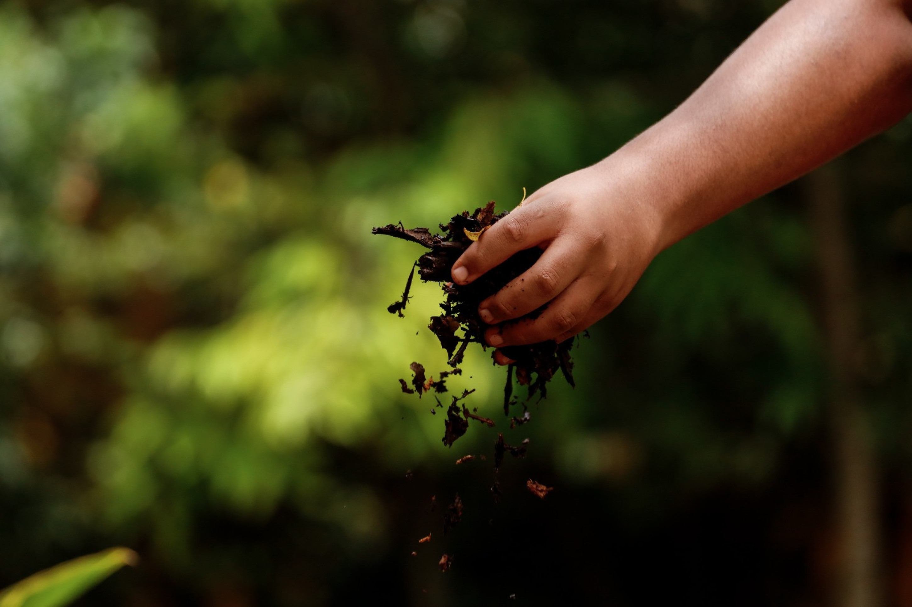 Escola do Cerrado aposta em educação ligada à natureza e encerra escala 6x1