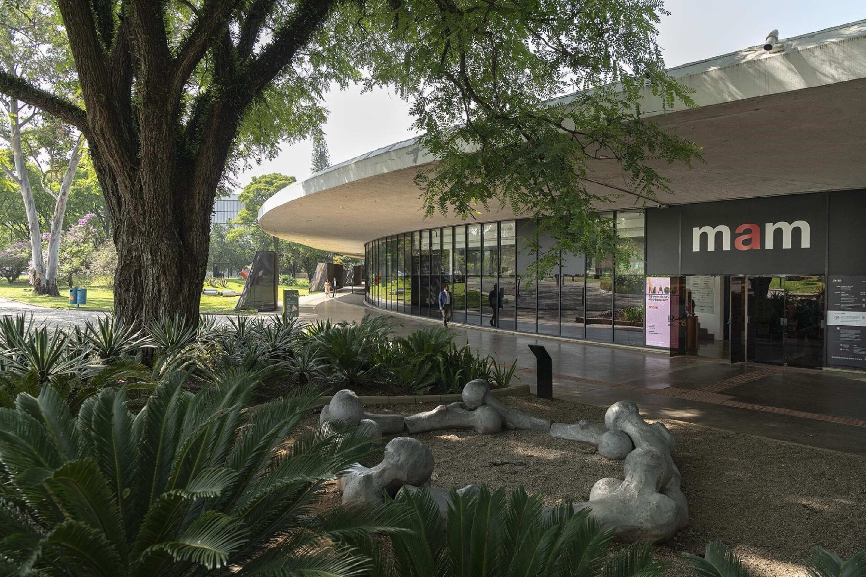 Museu de Arte Moderna de São Paulo abre inscrições para cursos 