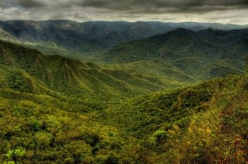  Parque Nacional da Serra do Gandarela (MG): Pacto Trinacional da Mata Atlântica foi destacado como experiência bem-sucedida no relatório da Organização das Nações Unidas

       -  (crédito: Frederico Pereira/Divulgação )
