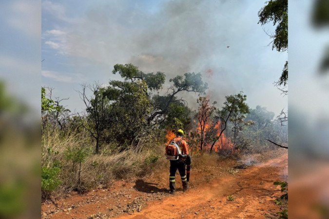 Chamas tomam conta de vegetação no Gama - (crédito: Material cedido ao Correio) Chamas tomam conta de vegetação no Gama - (crédito: Material cedido ao Correio)