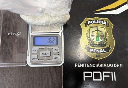 Segundo as informa&ccedil;&otilde;es da Pol&iacute;cia Penal do DF, as subst&acirc;ncias s&atilde;o avaliadas em R$ 100 mil -  (crédito: Divulgação/PPDF) -Segundo as informa&ccedil;&otilde;es da Pol&iacute;cia Penal do DF, as subst&acirc;ncias s&atilde;o avaliadas em R$ 100 mil -  (crédito: Divulgação/PPDF)