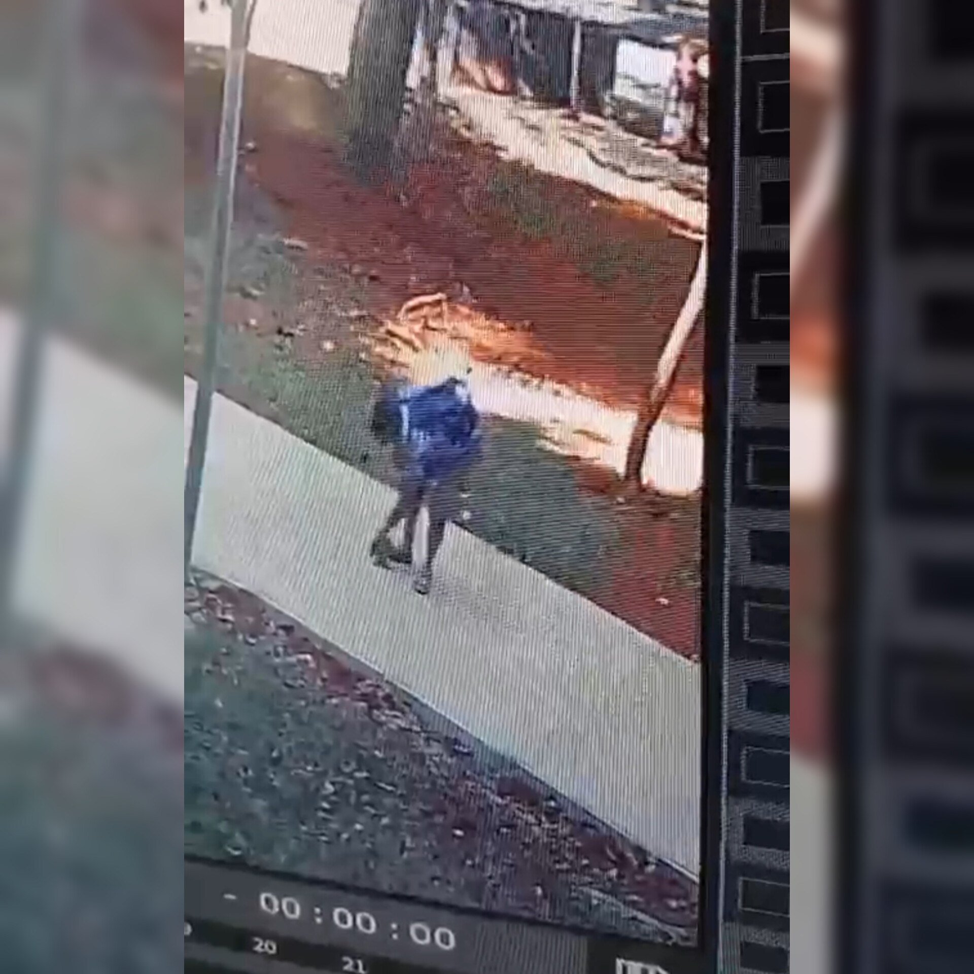 Mulher tem cão furtado por um homem durante passeio na Asa Sul. Veja vídeo