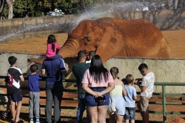 Zoológico de Brasília voltará a funcionar normalmente na terça-feira (6/10) -  (crédito: Minervino Júnior/CB/D.A.Press)