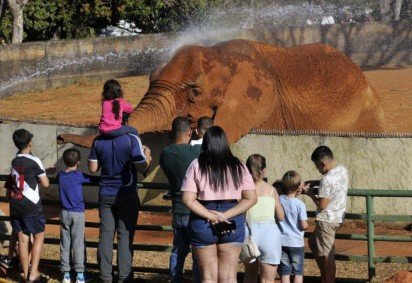 Zoológico de Brasília voltará a funcionar normalmente na terça-feira (6/10) -  (crédito: Minervino Júnior/CB/D.A.Press) -Zoológico de Brasília voltará a funcionar normalmente na terça-feira (6/10) -  (crédito: Minervino Júnior/CB/D.A.Press)