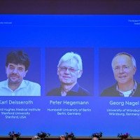 Da esquerda para a direita: os cientistas Karl Deisseroth, Peter Hegemann e Georg Nagel, durante o anúncio dos vencedores do Prêmio Nobel de Fisiologia ou Medicina de 2026 -  (crédito:  AFP)