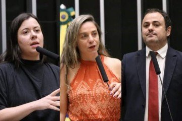 Mesmo elegendo 15 deputados federais, o PSol/Rede ficou fora da cláusula devido à concentração dos mandatos  -  (crédito: Kayo Magalhães/Câmara dos Deputados )