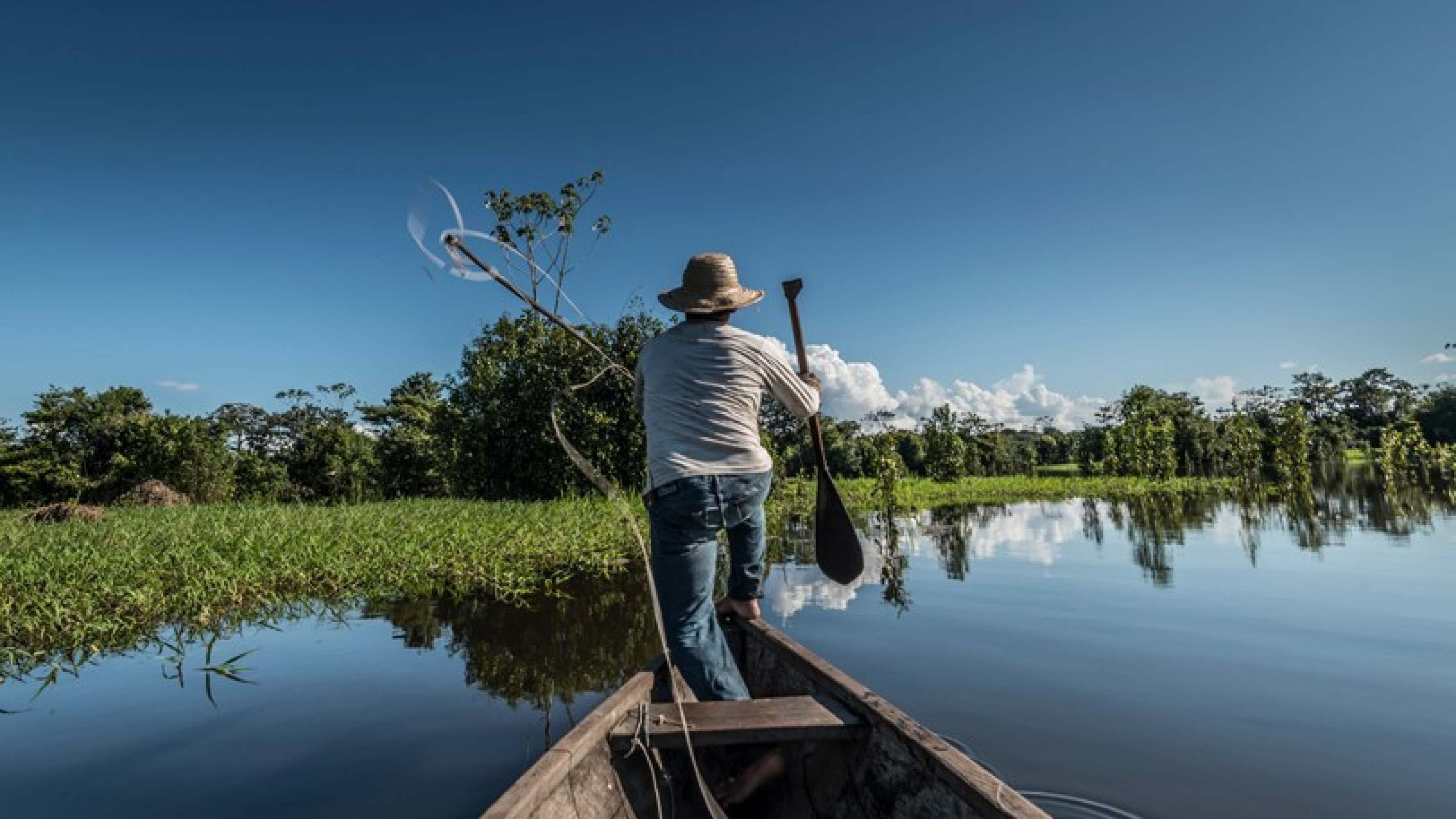 Pescador amaz&ocirc;nico