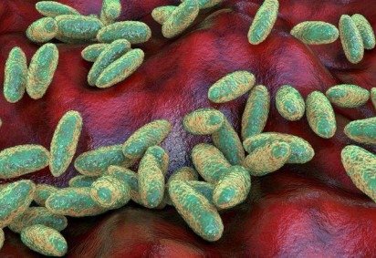 O que é a peste pneumônica e como ela se espalha? -  (crédito: BBC Geral) -O que é a peste pneumônica e como ela se espalha? -  (crédito: BBC Geral)