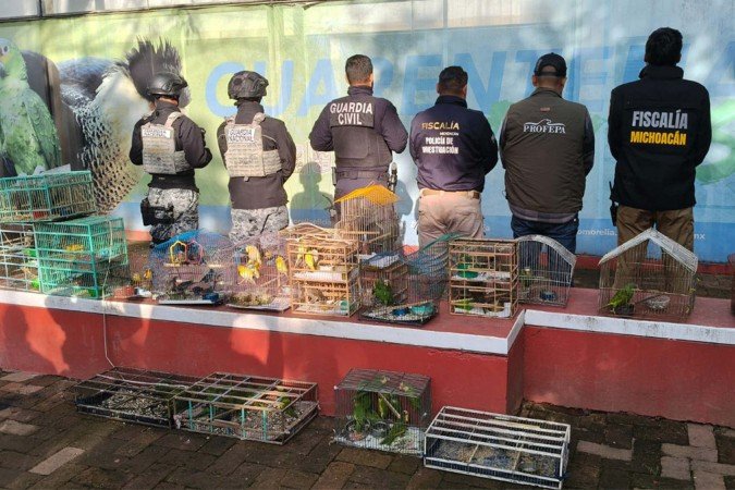 Animais seriam vendidos pelos criminosos 