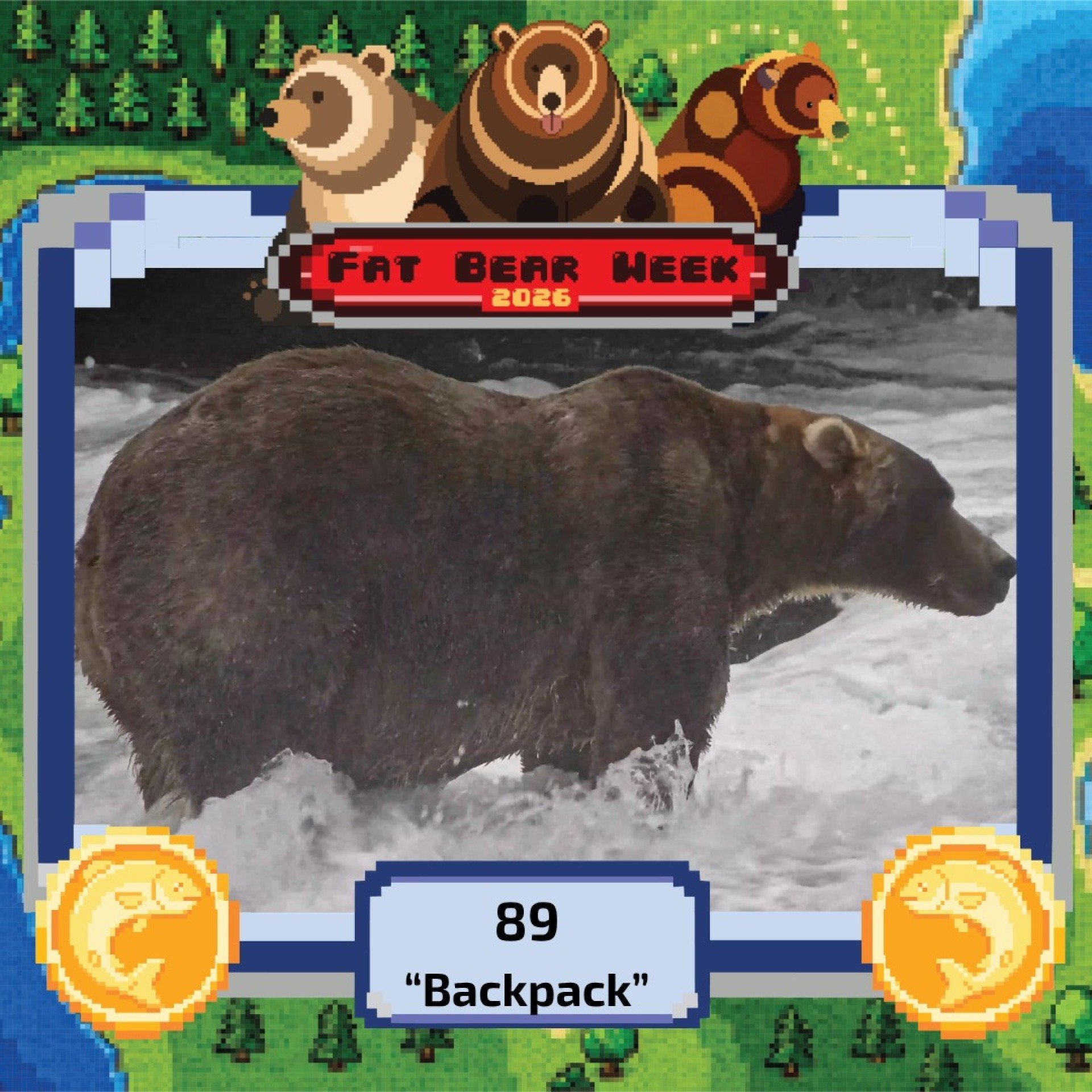 Ap&oacute;s sobreviver a uma les&atilde;o grave na perna em 2007, quando ainda era filhote, Backpack se recuperou no Parque de Katmai