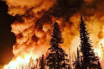 Incêndio florestal na Espanha no verão do hemisfério norte: ondas de calor recorde poderão ser superadas com a aproximação do pico do fenômeno El Niño  -  (crédito: Rawpixel/Divulgação )