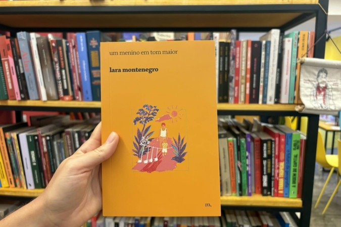 Livro 'Um menino em tom maior', de Lara Montenegro