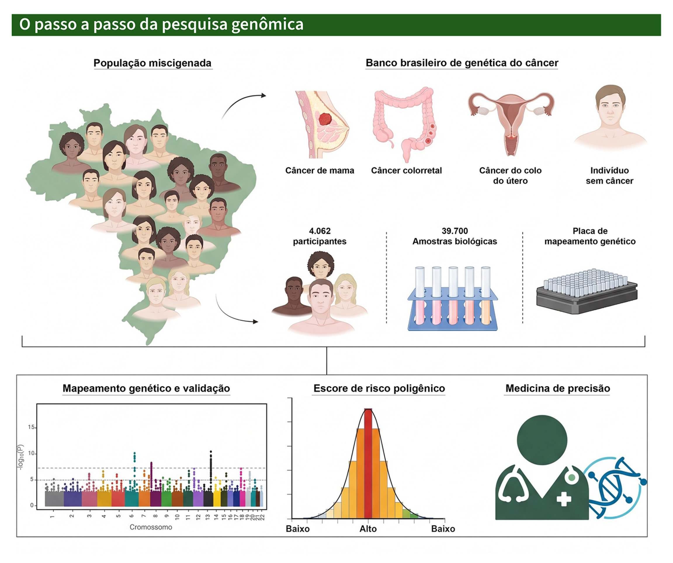 Passo a passo da pesquisa gen&ocirc;mica 