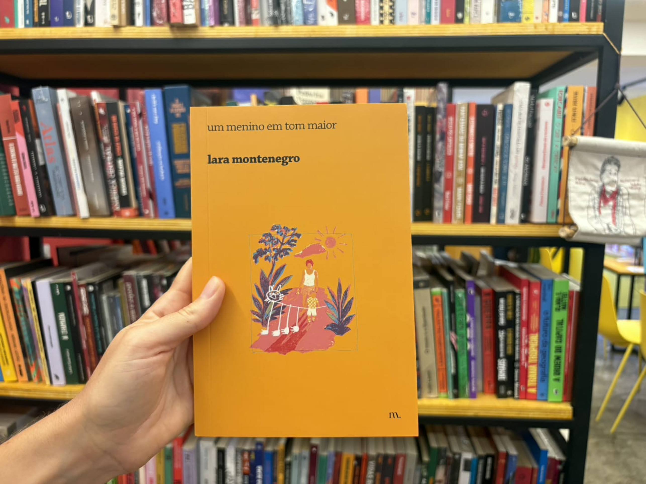 Livro 'Um menino em tom maior', de Lara Montenegro