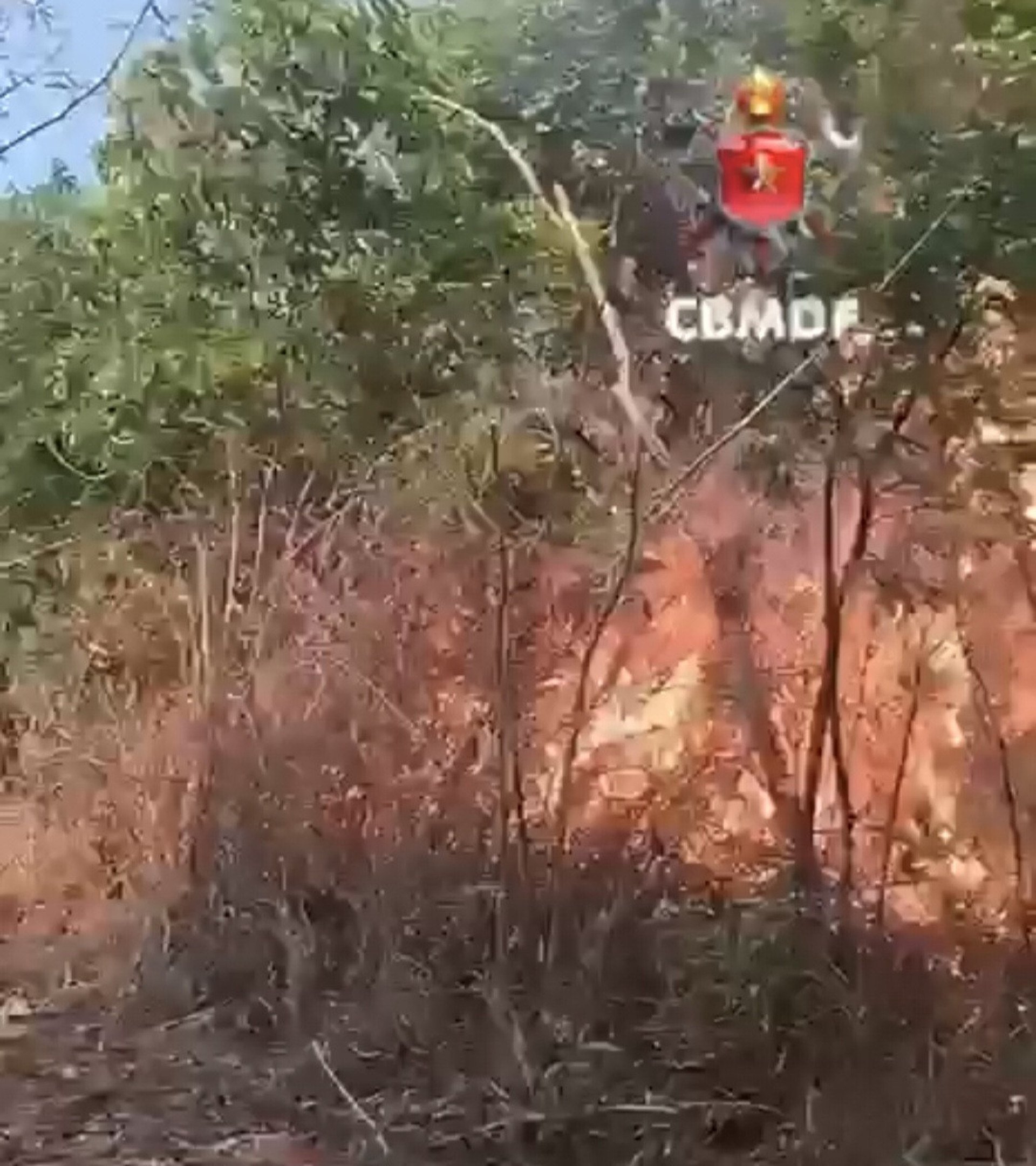 Inc&ecirc;ndio foi registrado no &iacute;nicio da tarde desta sexta-feira (9/10)
