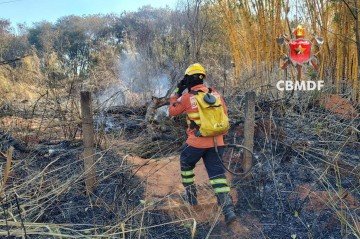 A maior parte das ocorrências foram registradas nas regiões de Sobradinho, São Sebastião e Paranoá  -  (crédito: CBMDF/Divulgação)