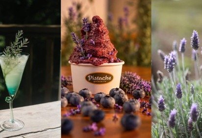 Cunha transforma a primavera em experiência com primeira Rota da Lavanda -  (crédito: Uai Turismo) -Cunha transforma a primavera em experiência com primeira Rota da Lavanda -  (crédito: Uai Turismo)