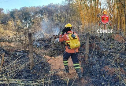 A maior parte das ocorrências foram registradas nas regiões de Sobradinho, São Sebastião e Paranoá  -  (crédito: CBMDF/Divulgação) -A maior parte das ocorrências foram registradas nas regiões de Sobradinho, São Sebastião e Paranoá  -  (crédito: CBMDF/Divulgação)