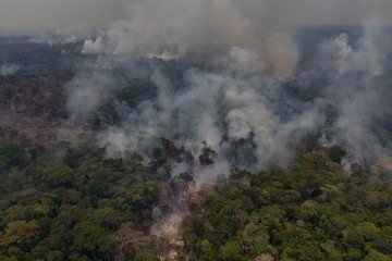 A região registrou 693 mil hectares de áreas desmatadas no ano passado, o menor índice da série histórica
- (crédito: AFP) A região registrou 693 mil hectares de áreas desmatadas no ano passado, o menor índice da série histórica
- (crédito: AFP)