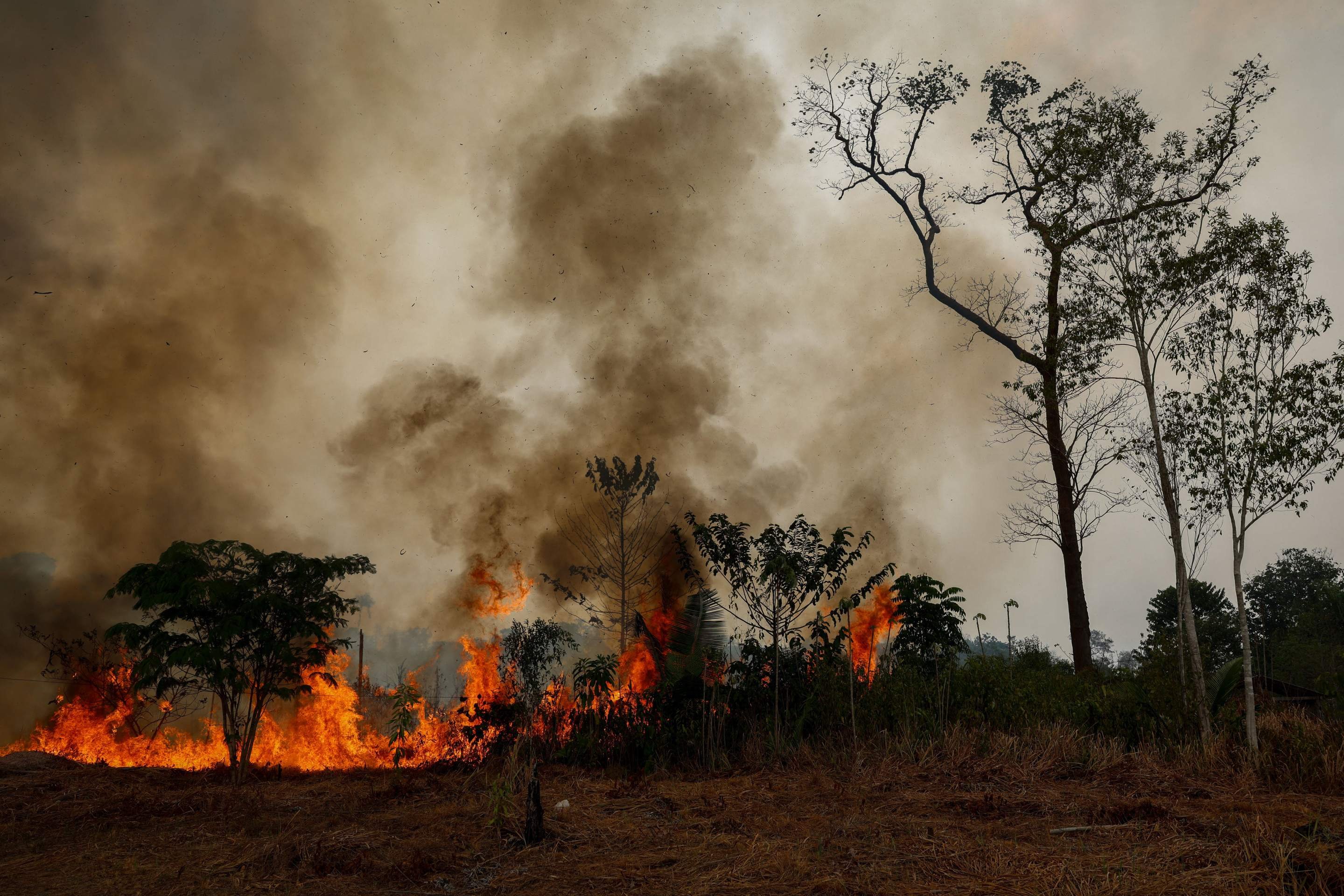 Os incêndios florestais no Amazonas ultrapassam 674 mil hectares, com aumento de 422% em relação a 2025  -  (crédito:  AFP)