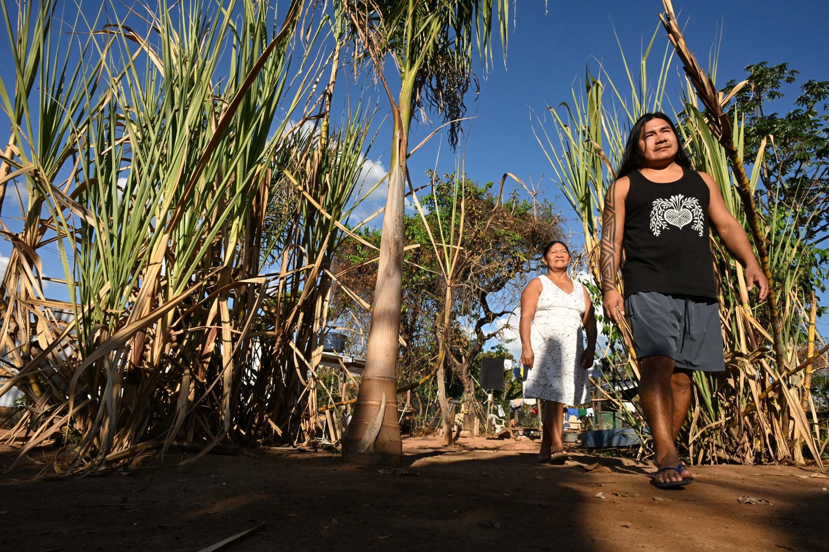 Ir&eacute;mir&iacute; Luvan Tukano e a m&atilde;e dele, Assunta Dessana, vivem no Santu&aacute;rio dos Paj&eacute;s