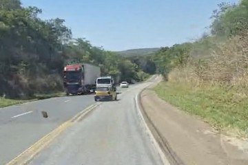Vídeo flagra momento em que o motorista invade a contramão na manhã desta segunda-feira (19/10) - (crédito: Divulgação/PRF) Vídeo flagra momento em que o motorista invade a contramão na manhã desta segunda-feira (19/10) - (crédito: Divulgação/PRF)