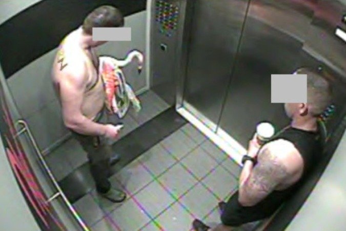Mitchell Fairbarn, de 33 anos, levou a ave para o quarto após invadir o habitat do hotel; ele alegou ter ingerido cerca de 40 cervejas antes do episódio.
. - (crédito: Reprodução/KLAS ) Mitchell Fairbarn, de 33 anos, levou a ave para o quarto após invadir o habitat do hotel; ele alegou ter ingerido cerca de 40 cervejas antes do episódio.
. - (crédito: Reprodução/KLAS )